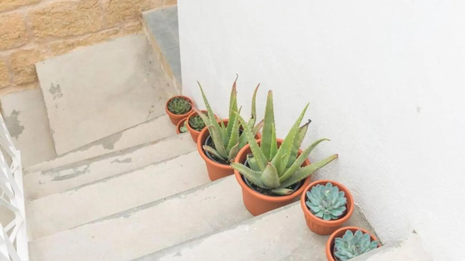 Authentic Gf Apartment With Terrace At The 3 Cities Marina Cospicua Malta